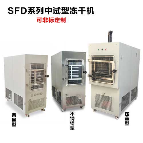 中試型凍干機(jī)