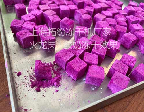 火龍果風(fēng)味凍干酸奶塊