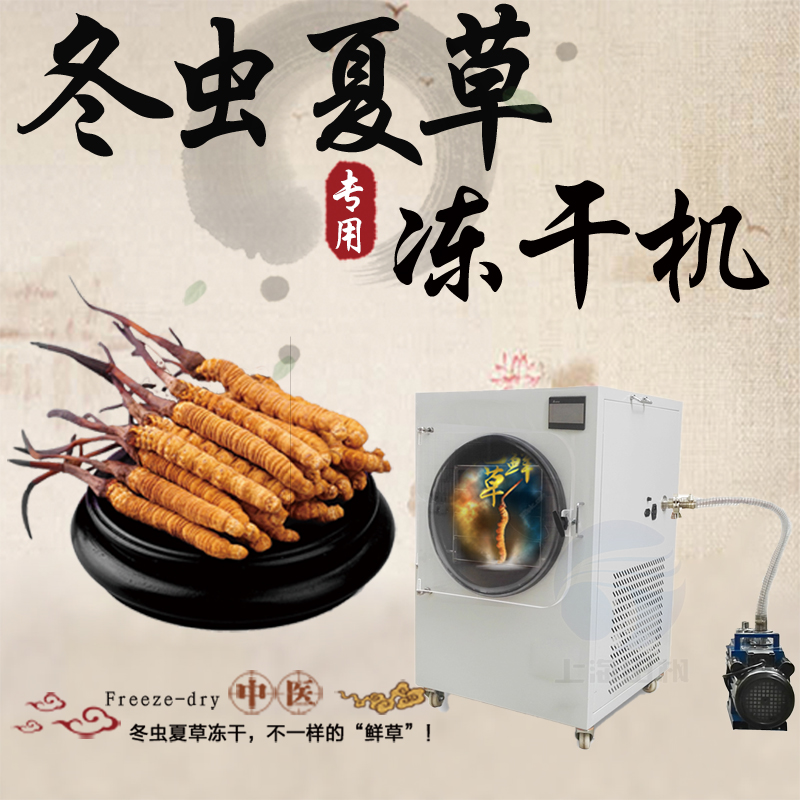 蟲草凍干機-蟲草冷凍干燥機-食品凍干機-蟲草冷凍式干燥機-上海拓紛制冷凍干機設備廠