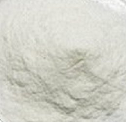 益生菌凍干粉凍干機：40平方益生菌凍干機技術(shù)介紹