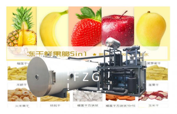 果蔬凍干機：水蜜桃凍干加工工藝流程