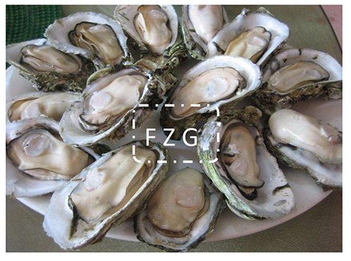 海鮮凍干機在生蠔凍干加工生產(chǎn)技術(shù)應用