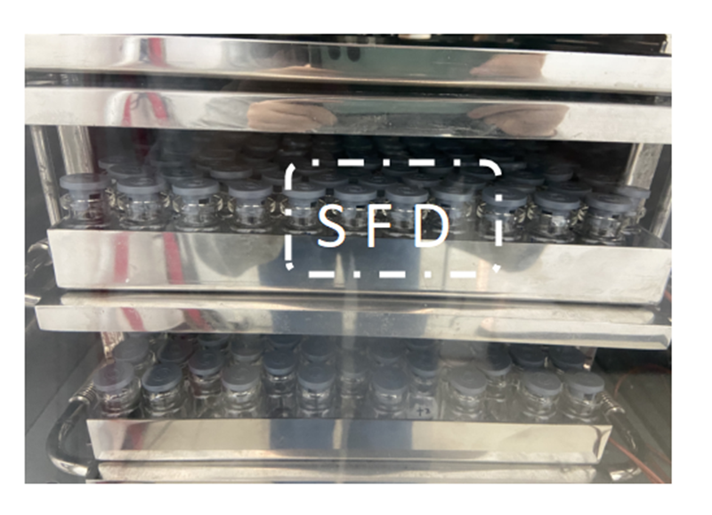 圖片46.1.png
