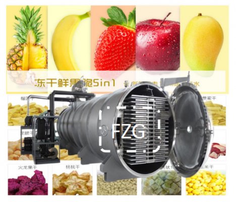 果蔬脆凍干機設備：草莓脆片凍干機生產線