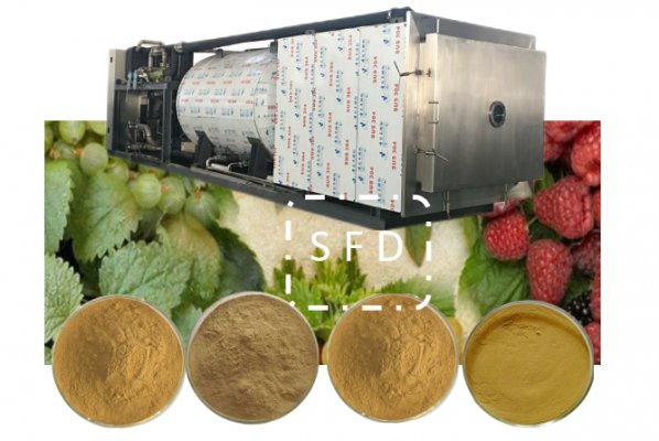 冷凍干燥機在植物提取液加工應用和凍干機設備