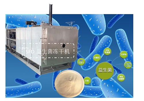 益生菌凍干技術和凍干機設備