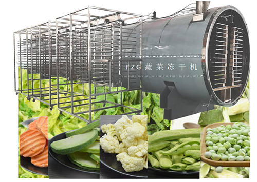 蔬菜凍干技術應用和食品凍干機