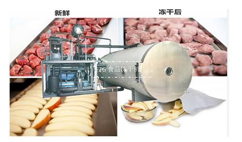 FZG食品凍干機在優質凍干食品加工廣泛應用