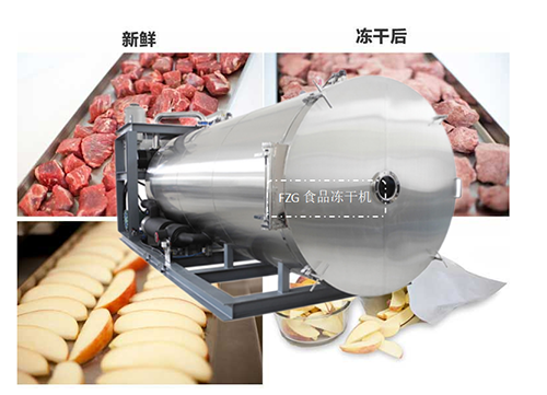 現代食品凍干機制作特點和功能優勢