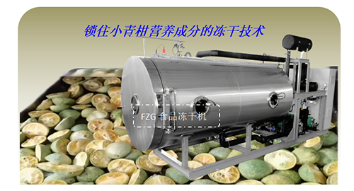 小青柑果茶凍干技術和食品凍干機應用優勢