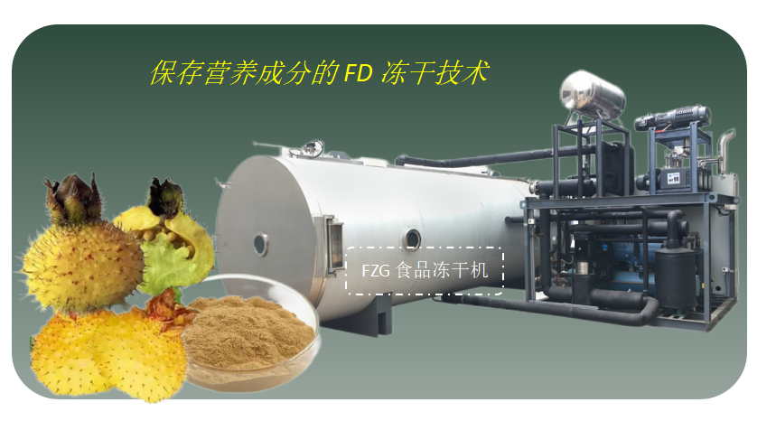 沙棘果汁凍干的關鍵技術和食品冷凍干燥機選用
