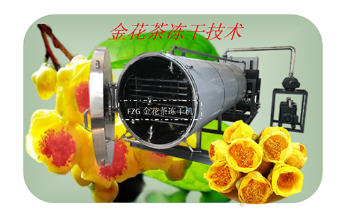 高品質金花茶干燥設備，鮮花真空冷凍干燥機
