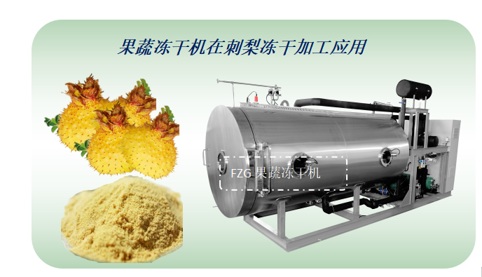 產品12.1.png