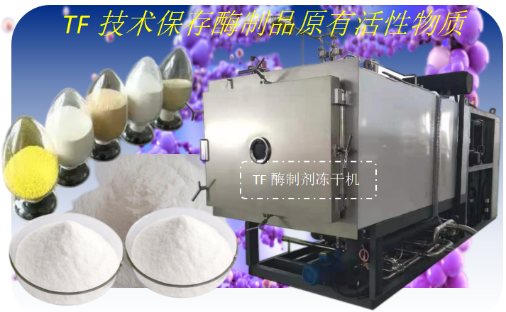 酶制劑冷凍干燥機設備的技術介紹