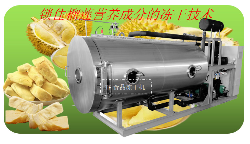 榴蓮凍干工藝流程和食品凍干機生產線