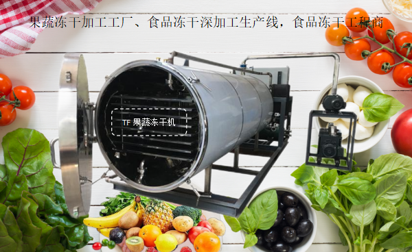 冷凍干燥機|凍干機|真空冷凍干燥機|大型冷凍干燥機|食品凍干機|制藥真空冷凍干燥機|食品凍干設備|制藥冷凍干燥機