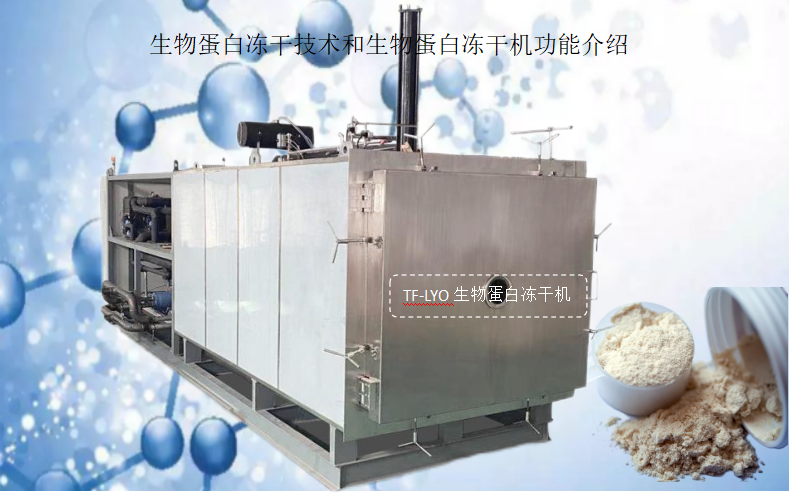 冷凍干燥機|凍干機|真空冷凍干燥機|大型冷凍干燥機|食品凍干機|制藥真空冷凍干燥機|食品凍干設備|制藥冷凍干燥機
