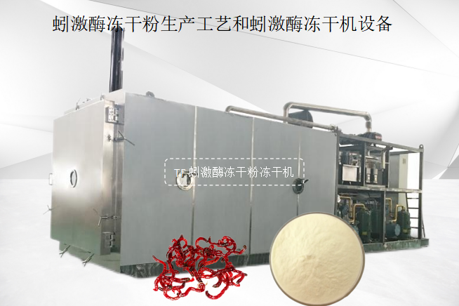 蚓激酶凍干粉生產(chǎn)工藝和蚓激酶凍干機(jī)設(shè)備