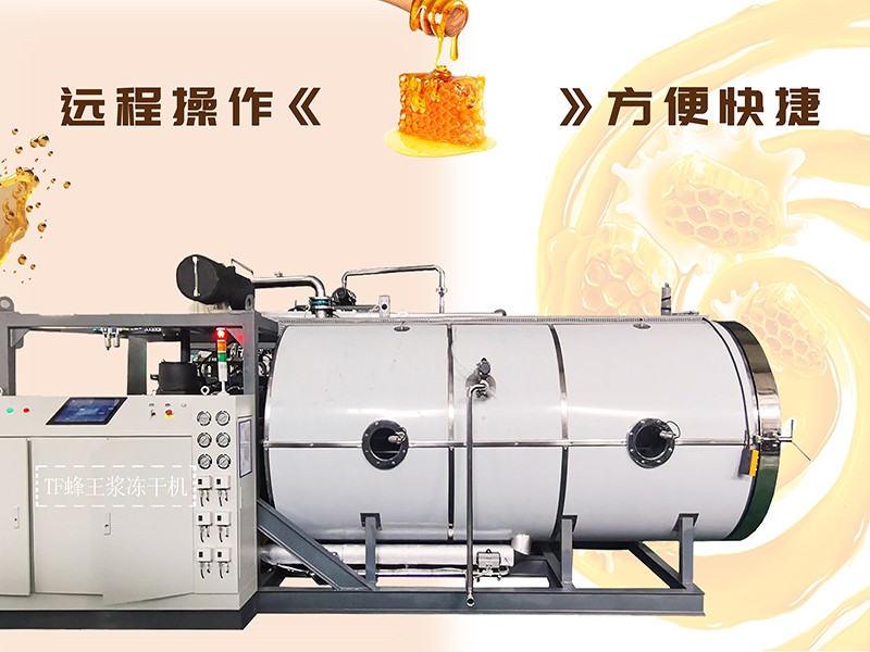 冷凍干燥機|凍干機|真空冷凍干燥機|大型冷凍干燥機|食品凍干機|制藥真空冷凍干燥機|食品凍干設備|制藥冷凍干燥機