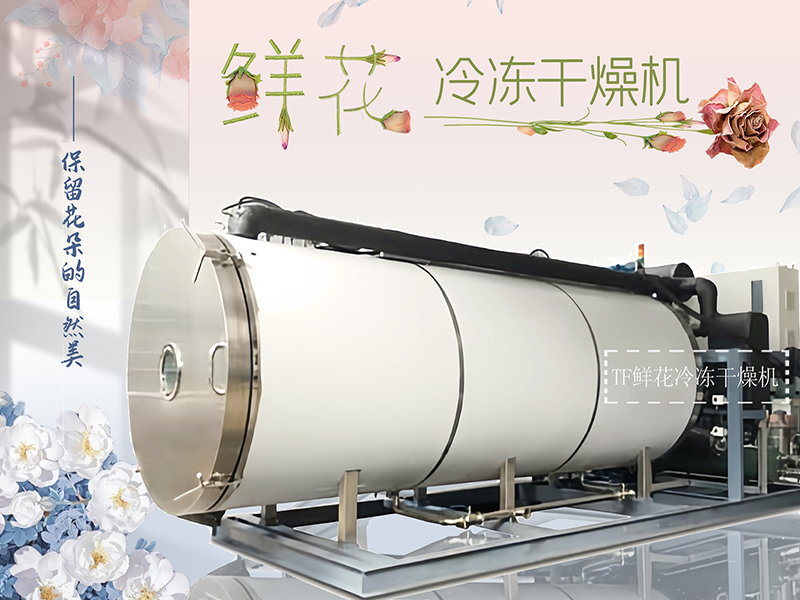 花卉凍干機（鮮花冷凍干燥機）百科