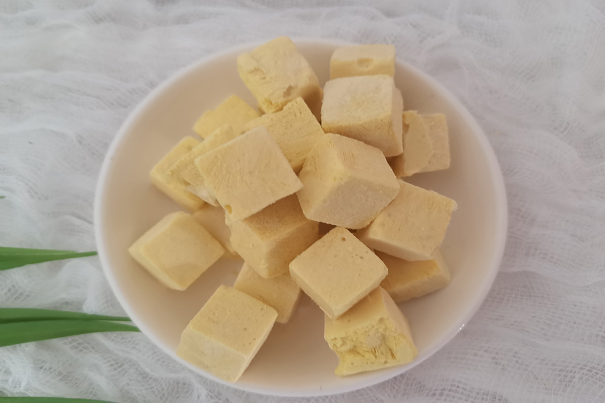 芒果酸奶塊凍干：食品冷凍干燥機在水果酸奶塊凍干加工優勢