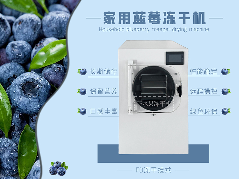 藍莓冷凍干燥機、草莓凍干機、上海拓紛水果凍干機自動化生產線