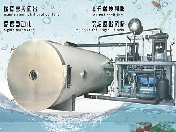 冷凍干燥機|凍干機|真空冷凍干燥機|大型冷凍干燥機|食品凍干機|制藥真空冷凍干燥機|食品凍干設備|制藥冷凍干燥機