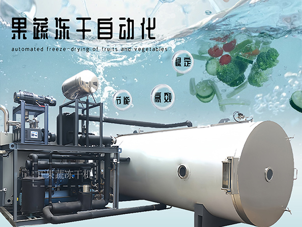 果蔬凍干技術(shù)及上海拓紛果蔬凍干自動(dòng)化生產(chǎn)線交鑰匙工程