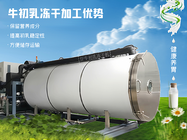 冷凍干燥機|凍干機|真空冷凍干燥機|大型冷凍干燥機|食品凍干機|制藥真空冷凍干燥機|食品凍干設備|制藥冷凍干燥機