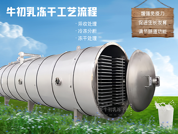 冷凍干燥機|凍干機|真空冷凍干燥機|大型冷凍干燥機|食品凍干機|制藥真空冷凍干燥機|食品凍干設備|制藥冷凍干燥機