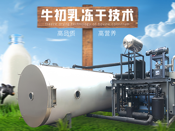 冷凍干燥機|凍干機|真空冷凍干燥機|大型冷凍干燥機|食品凍干機|制藥真空冷凍干燥機|食品凍干設備|制藥冷凍干燥機
