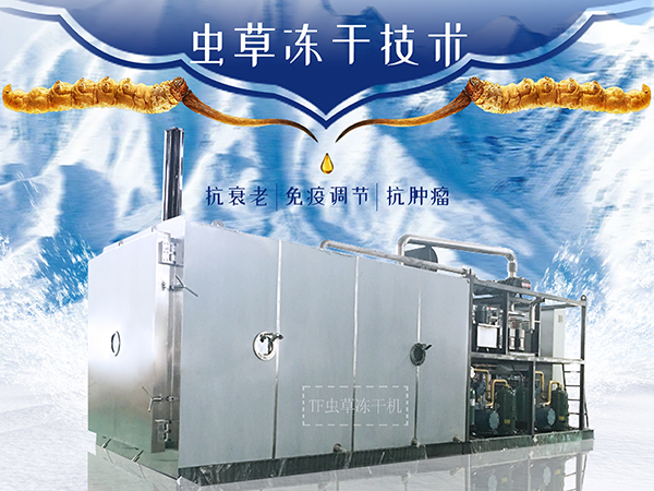 冷凍干燥機|凍干機|真空冷凍干燥機|大型冷凍干燥機|食品凍干機|制藥真空冷凍干燥機|食品凍干設備|制藥冷凍干燥機