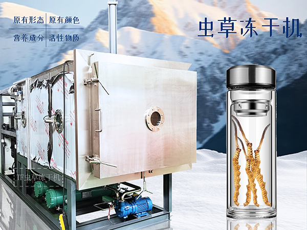 冷凍干燥機|凍干機|真空冷凍干燥機|大型冷凍干燥機|食品凍干機|制藥真空冷凍干燥機|食品凍干設備|制藥冷凍干燥機