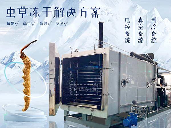 冷凍干燥機|凍干機|真空冷凍干燥機|大型冷凍干燥機|食品凍干機|制藥真空冷凍干燥機|食品凍干設備|制藥冷凍干燥機