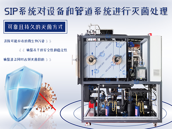 冷凍干燥機|凍干機|真空冷凍干燥機|大型冷凍干燥機|食品凍干機|制藥真空冷凍干燥機|食品凍干設備|制藥冷凍干燥機