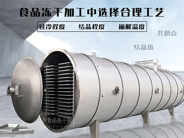 冷凍干燥機|凍干機|真空冷凍干燥機|大型冷凍干燥機|食品凍干機|制藥真空冷凍干燥機|食品凍干設備|制藥冷凍干燥機