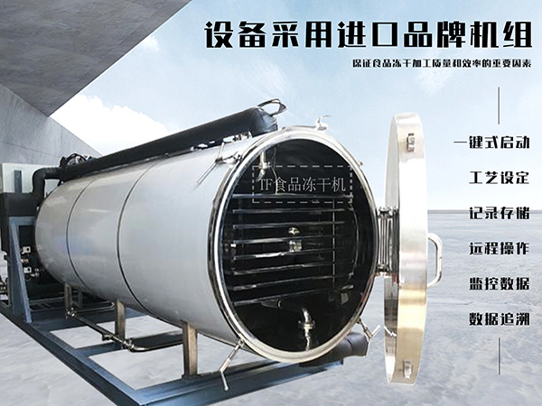 冷凍干燥機|凍干機|真空冷凍干燥機|大型冷凍干燥機|食品凍干機|制藥真空冷凍干燥機|食品凍干設備|制藥冷凍干燥機