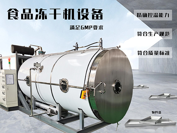 冷凍干燥機|凍干機|真空冷凍干燥機|大型冷凍干燥機|食品凍干機|制藥真空冷凍干燥機|食品凍干設備|制藥冷凍干燥機