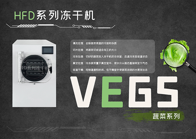 上海拓紛HFD系列小型家用凍干機(jī)：優(yōu)質(zhì)生活從這里開始