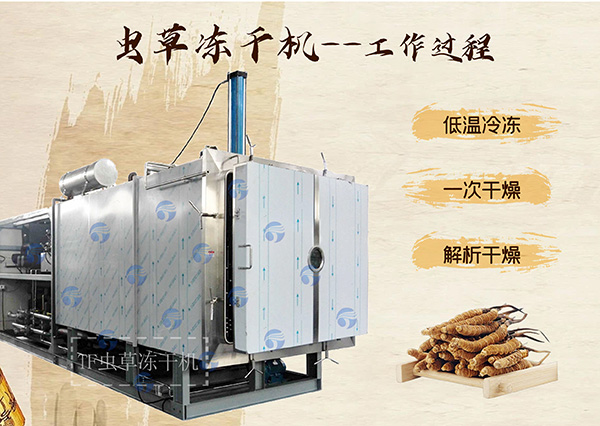 冷凍干燥機|凍干機|真空冷凍干燥機|大型冷凍干燥機|食品凍干機|制藥真空冷凍干燥機|食品凍干設備|制藥冷凍干燥機