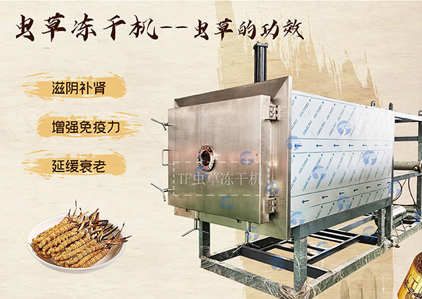 冷凍干燥機|凍干機|真空冷凍干燥機|大型冷凍干燥機|食品凍干機|制藥真空冷凍干燥機|食品凍干設備|制藥冷凍干燥機