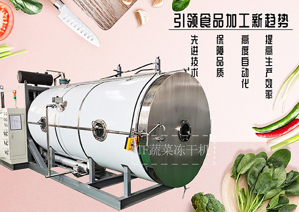 冷凍干燥機(jī)|凍干機(jī)|真空冷凍干燥機(jī)|大型冷凍干燥機(jī)|食品凍干機(jī)|制藥真空冷凍干燥機(jī)|食品凍干設(shè)備|制藥冷凍干燥機(jī)