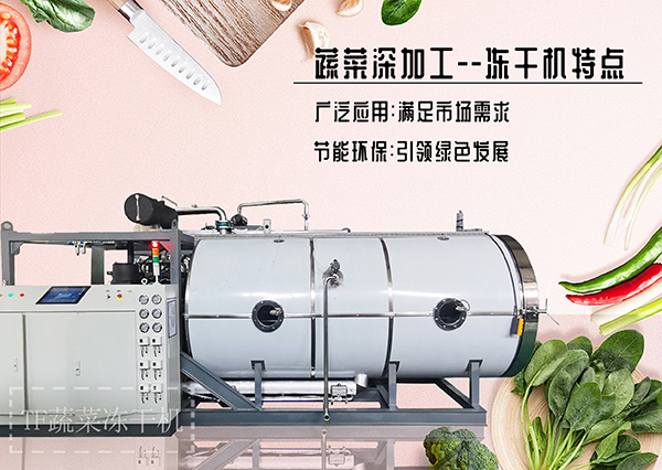 冷凍干燥機(jī)|凍干機(jī)|真空冷凍干燥機(jī)|大型冷凍干燥機(jī)|食品凍干機(jī)|制藥真空冷凍干燥機(jī)|食品凍干設(shè)備|制藥冷凍干燥機(jī)