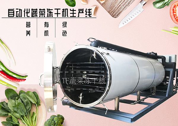 引領食品加工新趨勢——上海拓紛自動化蔬菜凍干機生產線