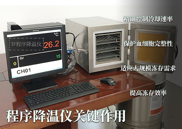 程序降溫儀在血液凍存中的關(guān)鍵作用和應(yīng)用