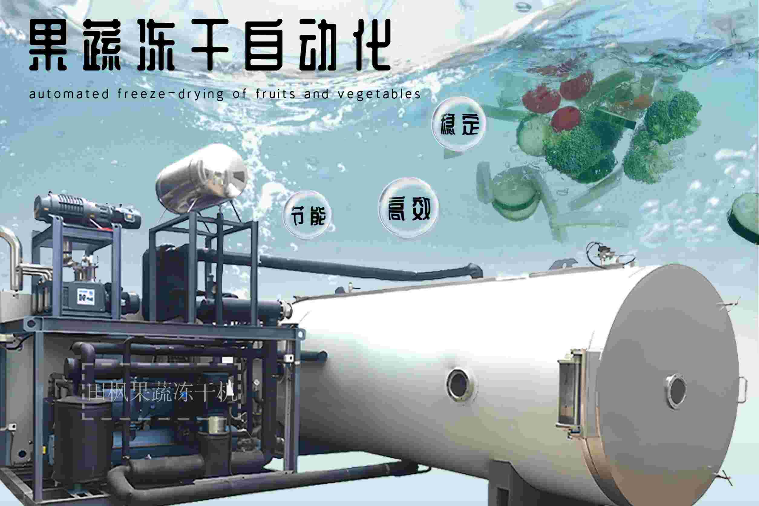 什么是果蔬凍干機？如何工作的？