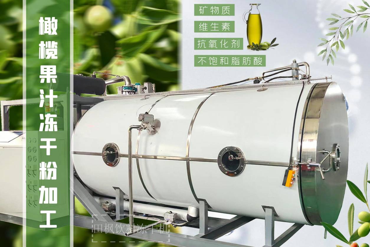 橄欖汁凍干機的原理是什么？為什么它對橄欖汁有益？