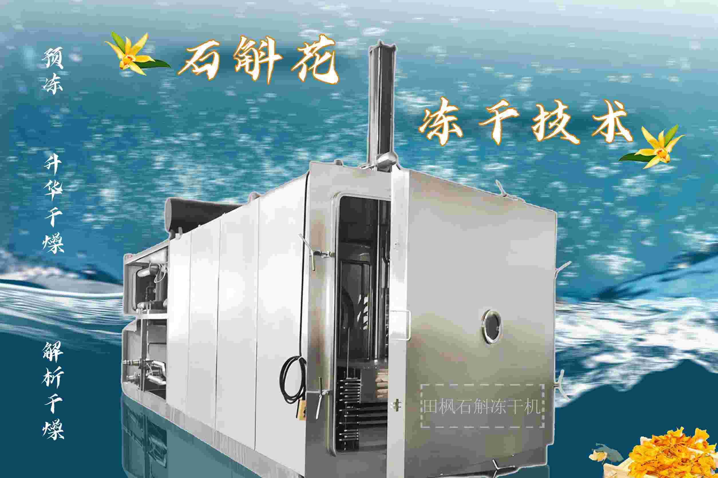 石斛花冷凍干燥機的技術創新如何助力天然藥材的加工與應用？