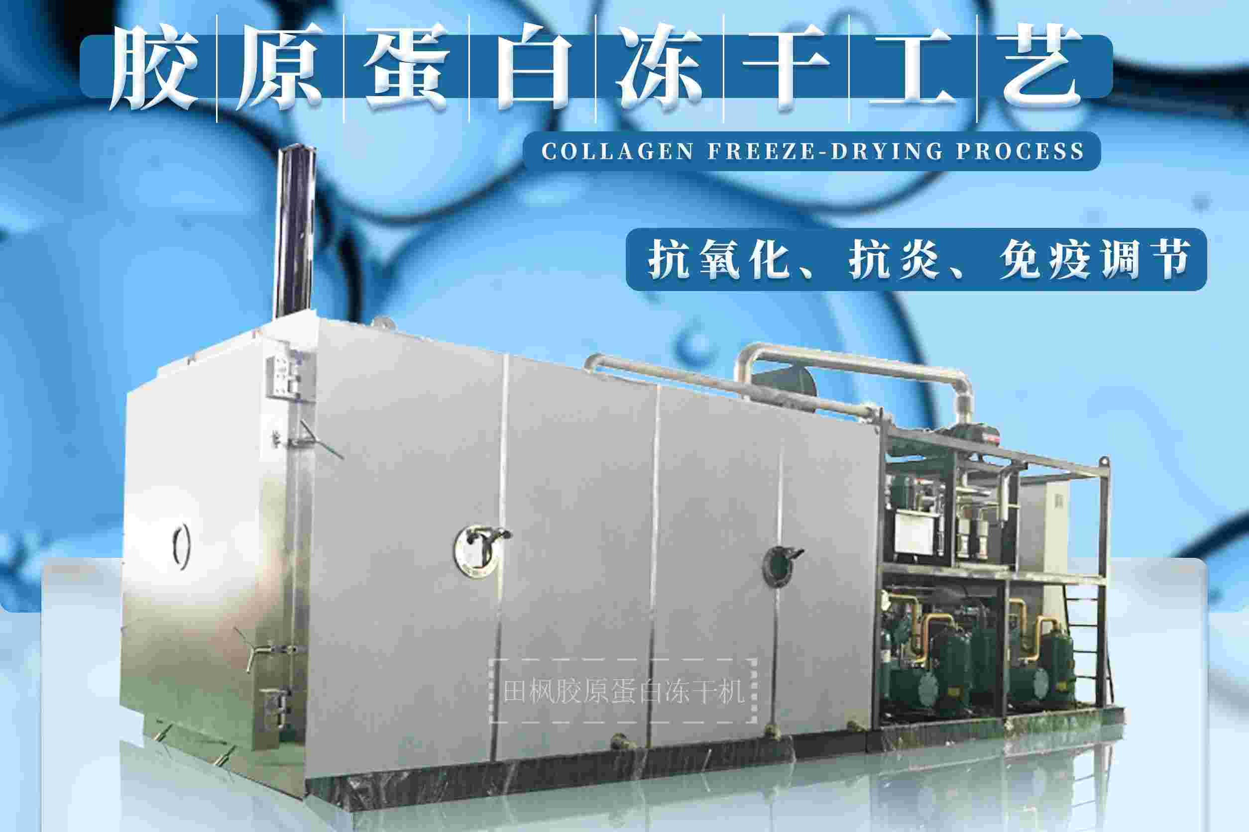 膠原蛋白凍干機在食品工業中的應用有哪些？