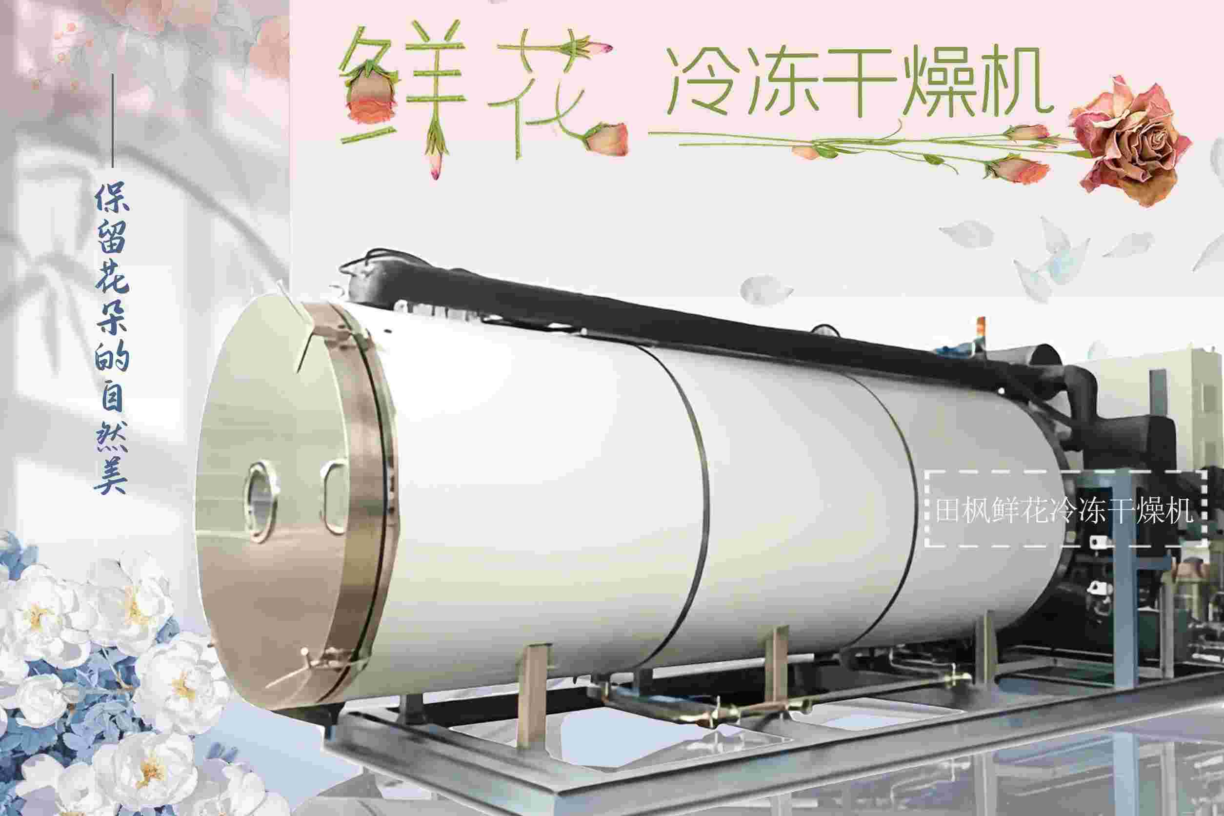 凍干機廠家的產品在科研實驗中有哪些重要作用？